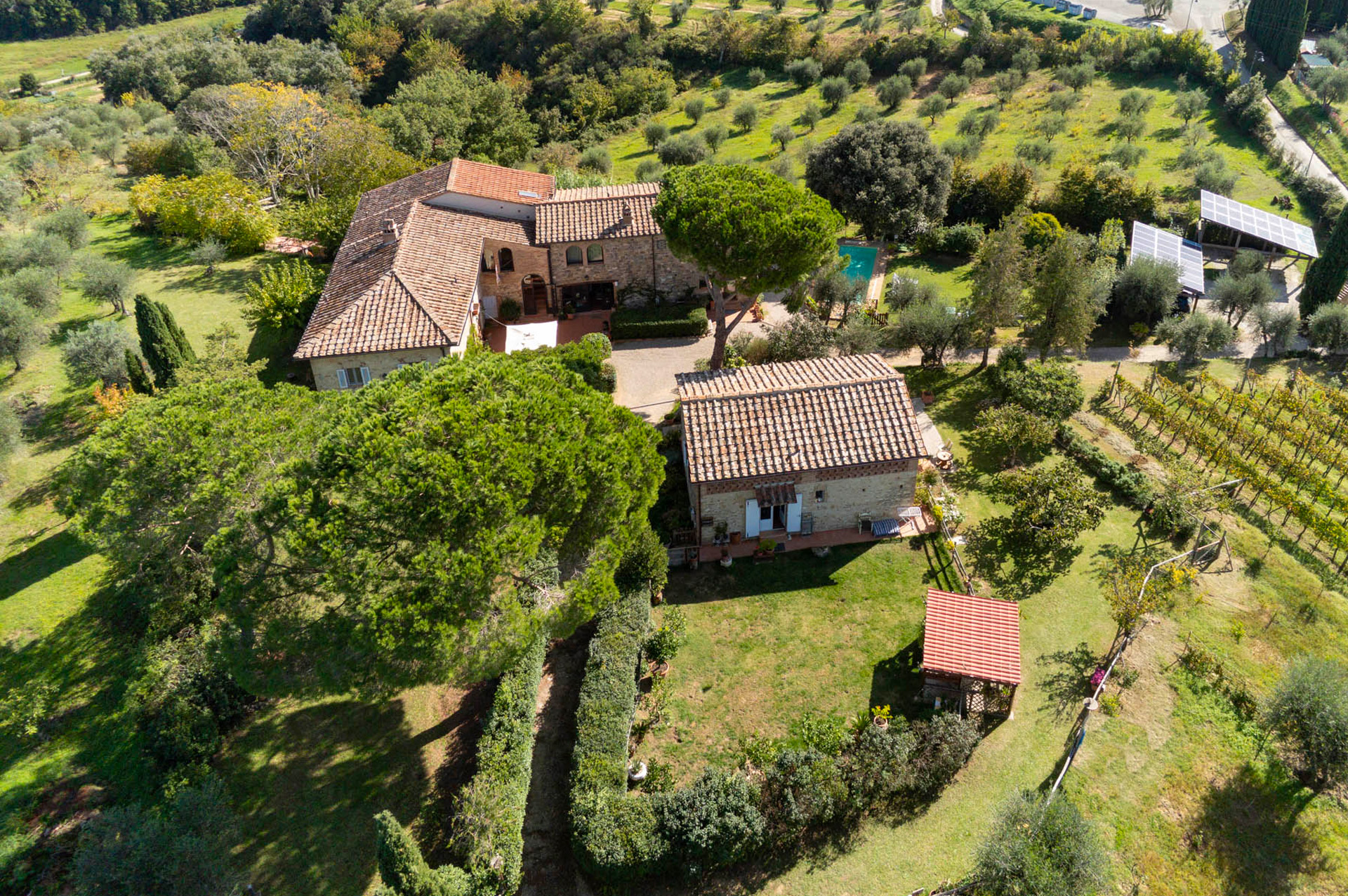 Azienda agricola podere san quirico